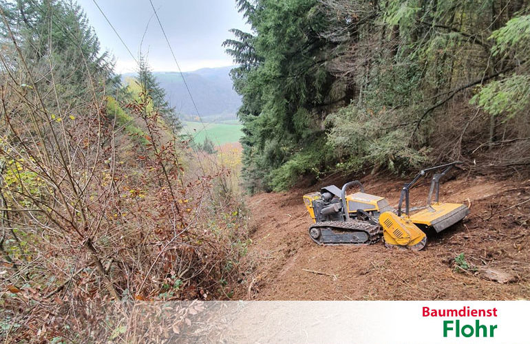 Forstfräsen - Baumdienst Flohr - Neuwied Ihr Ansprechpartner für´s Grüne in Eifel, Hunsrück, Westerwald & im Gebiet Lahn, Mosel/Mittelrhein