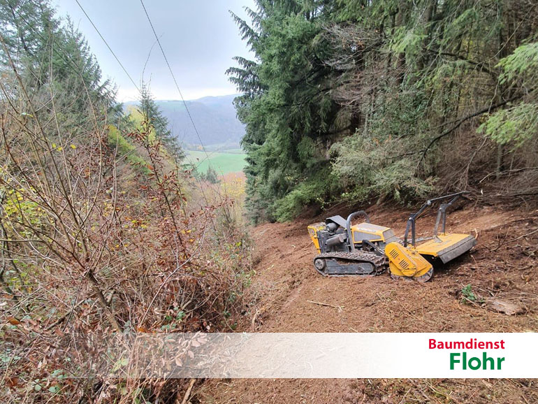 Forstfräsen - Baumdienst Flohr - Neuwied Ihr Ansprechpartner für´s Grüne in Eifel, Hunsrück, Westerwald & im Gebiet Lahn, Mosel/Mittelrhein