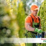 Heckenschnitt - Baumdienst Flohr - Neuwied Ihr Ansprechpartner für´s Grüne in Eifel, Hunsrück, Westerwald & im Gebiet Lahn, Mosel/Mittelrhein