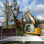 Baum fällen - Baumdienst Flohr - Neuwied