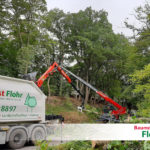 Baumfällung Steiger - Baumdienst Flohr, Neuwied/Westerwald/Rhein-Lahn