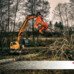 Gewässerpflege Baumdienst Flohr, Neuwied Westerwald Rhein/Lahn Eifel Hünsrück