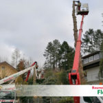 Baumfällung Steiger - Baumdienst Flohr, Neuwied/Westerwald/Rhein-Lahn