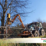 Lichtraumschneiden - Baumdienst Flohr, Neuwied