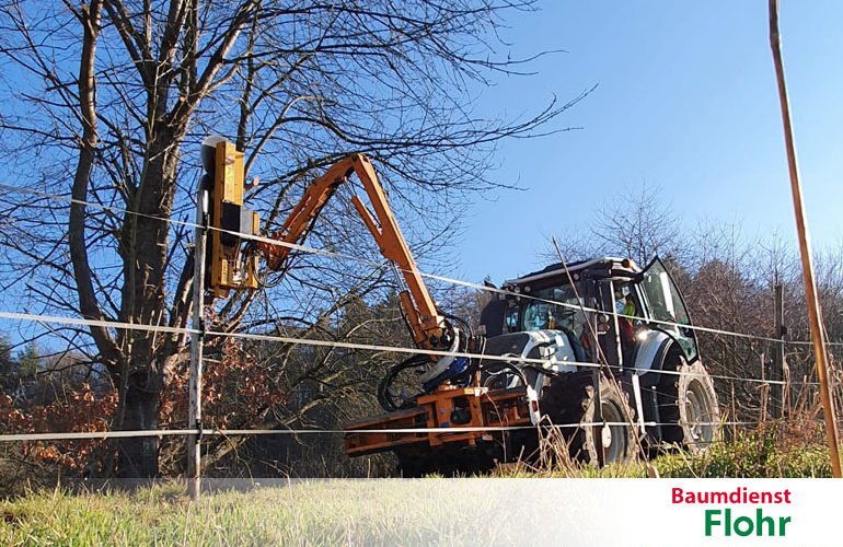 Lichtraumschneiden - Baumdienst Flohr, Neuwied