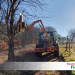 Lichtraumschneiden - Baumdienst Flohr, Neuwied